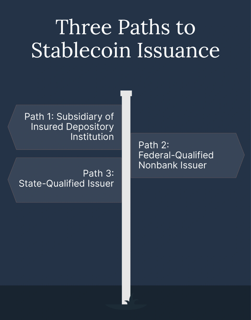 An image showing three paths to stablecoin issuance